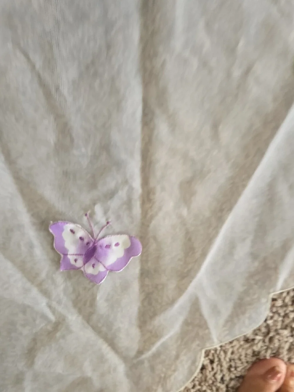Sheer White Butterfly Scalloped Valance Set